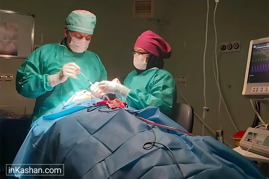 دکتر امیر سلمانی