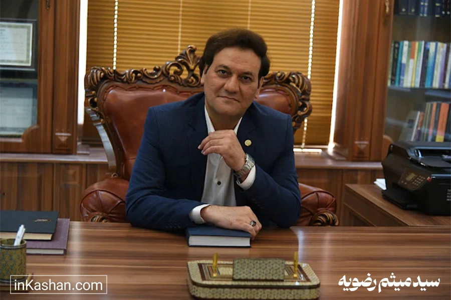 سید میثم رضویه وکیل