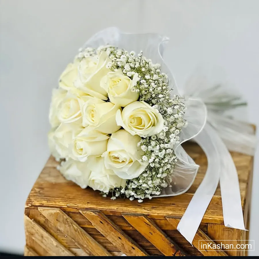 Arian Gol - آرین گل 